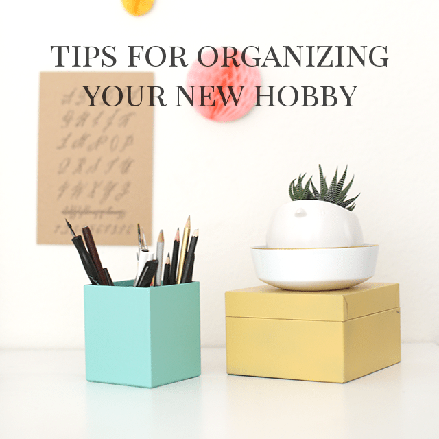 How to Organize a New Hobby Shrimp Salad Circus