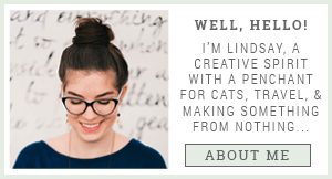 Shrimp Salad Circus Profile