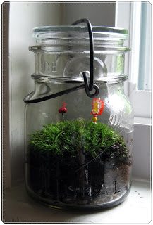 How To-sday – Vintage Apothecary Jar Moss Terrarium thumbnail