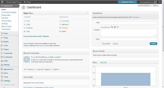 Wordpress Dashboard Interface