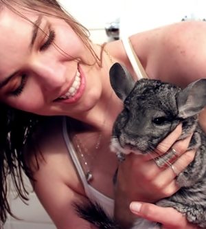 lindsay hugs all the animals . chinchilla thumbnail