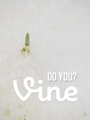 vine . are you on the bandwagon? thumbnail