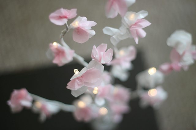 Shrimp-Salad-Circus-Cherry-Blossom-Lights-Tutorial-501