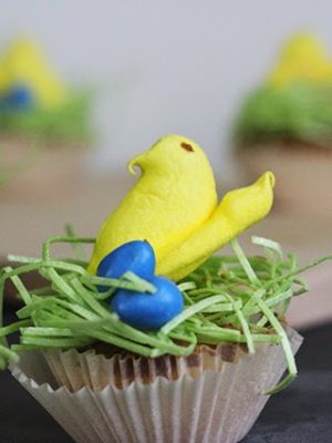 Spring Bird Nest Cupcakes – Good Eats thumbnail