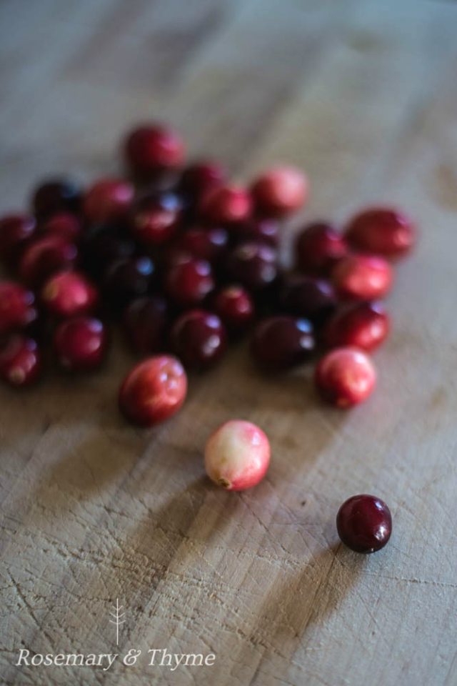 Cranberries, the gift of self employment
