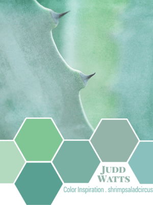 Judd Watts’ Succulent . Colors Inspiration thumbnail
