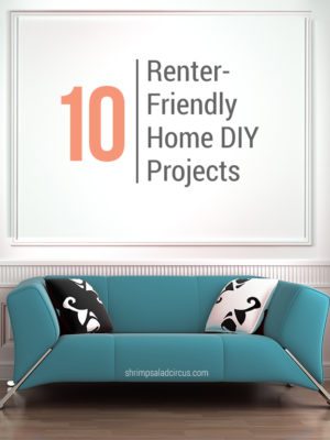 10 Renter Friendly Home DIY Tutorials thumbnail