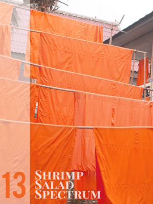 Orange . #ShrimpSaladSpectrum No. 13 thumbnail