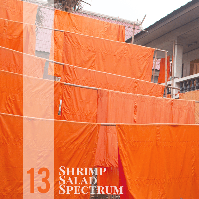 ShrimpSaladSpectrum 13 Orange