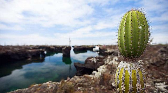 Ecuador and the Galapagos Islands 4