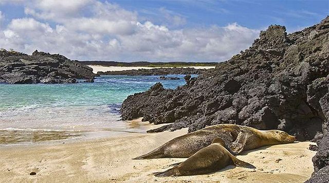 Ecuador and the Galapagos Islands 6