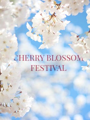 DC’s Cherry Blossom Festival – A Mile in My Shoes thumbnail