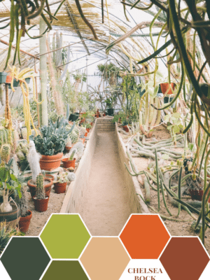 Chelsea Bock’s Greenhouse – Color Inspiration thumbnail