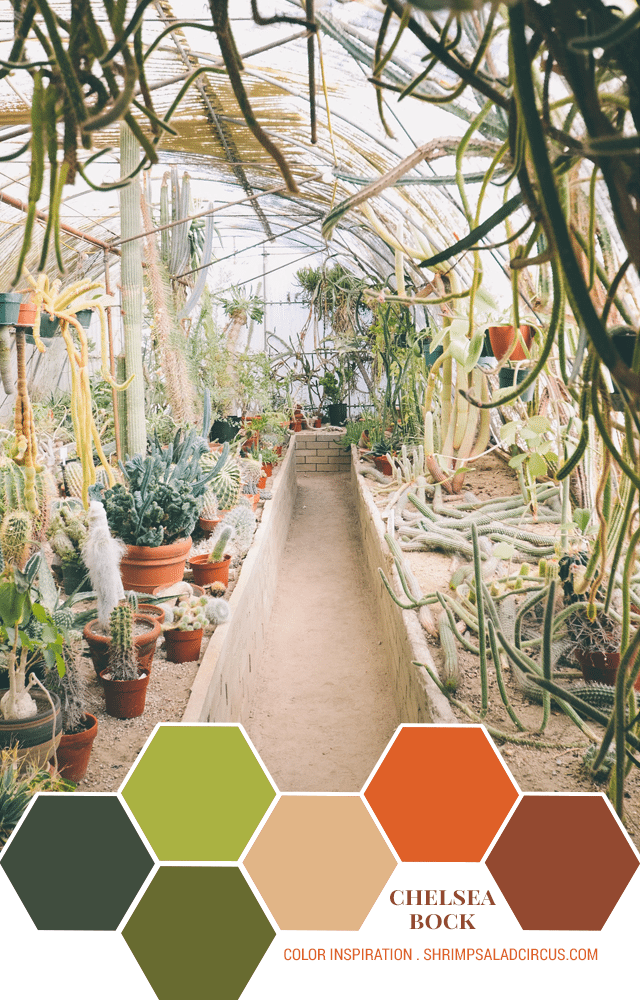 Color Inspiration - Chelsea Bock's Greenhouse