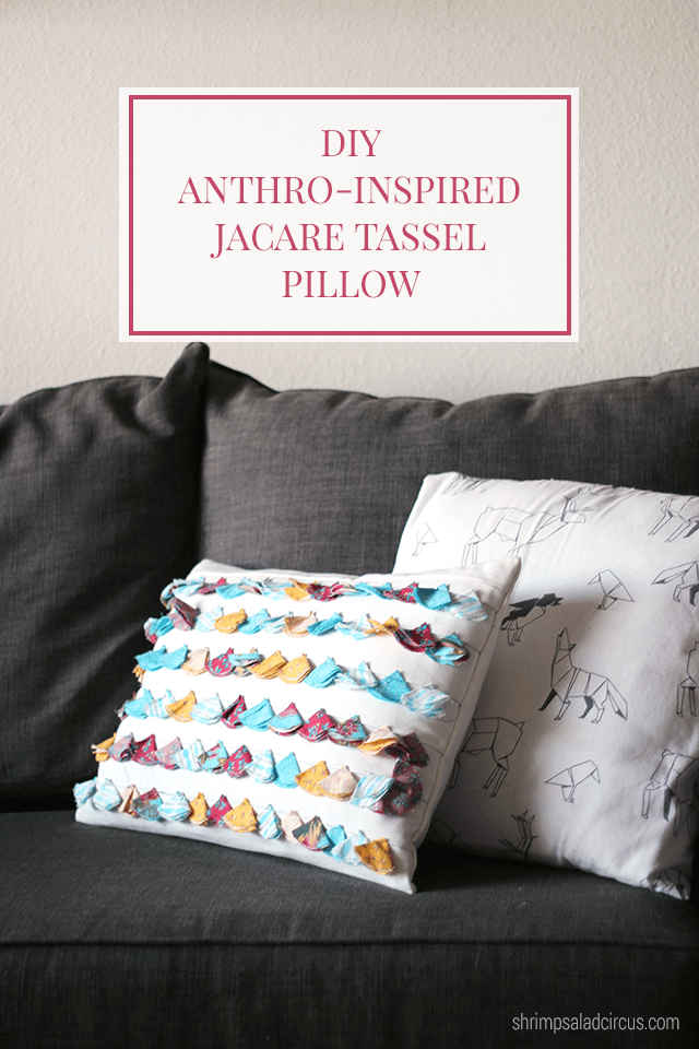 DIY Anthropologie Tasseled Jacare Pillow