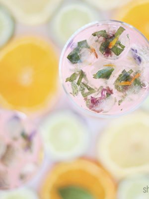 Herbal Ice Cubes & Fruit Herb Drink Pairings thumbnail