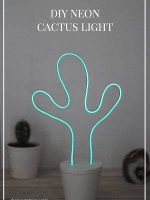 How to Make a DIY Neon Sign in Any Shape – Even a Cactus! thumbnail