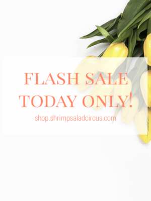 Flash Sale – Today Only! thumbnail