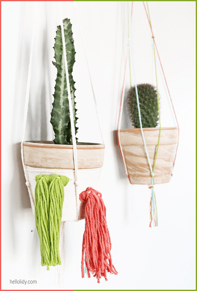 10 Cactus Crafts 10