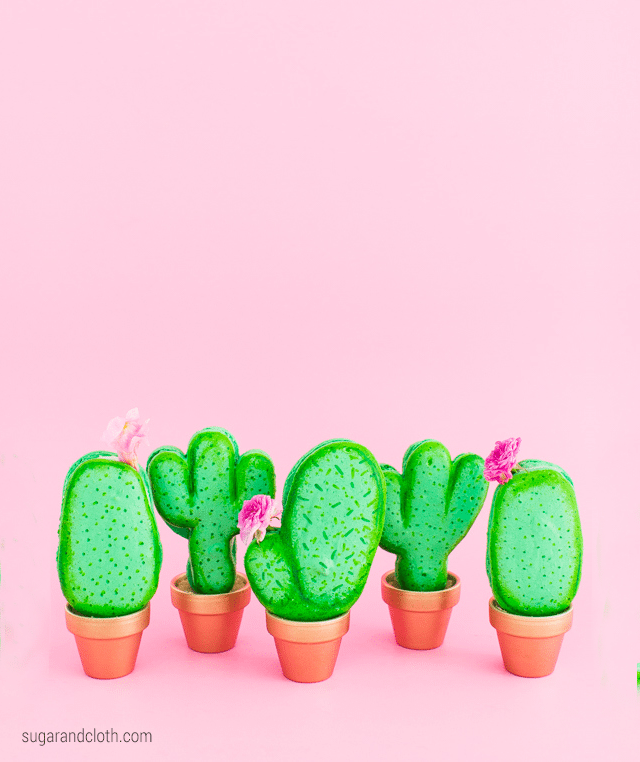 10 Cactus Crafts 3