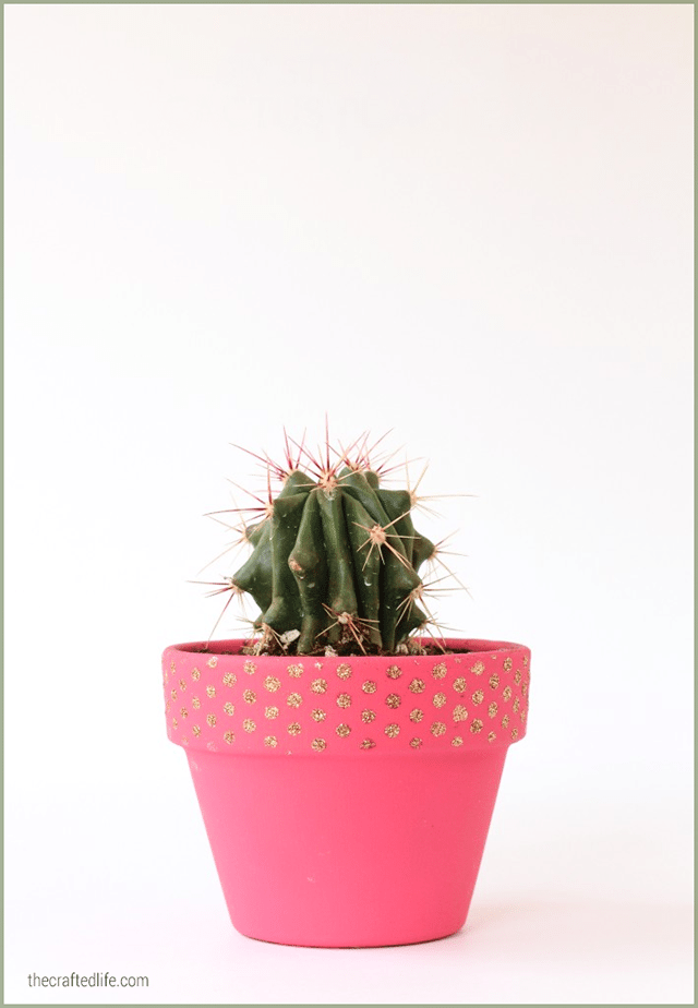 10 Cactus Crafts 8