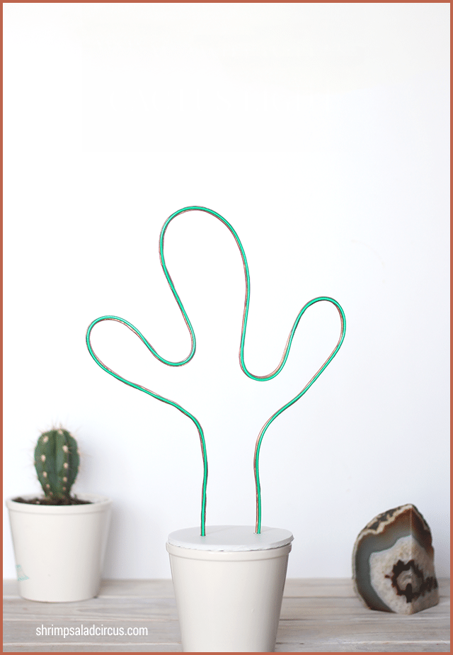 10 Cactus Crafts 9