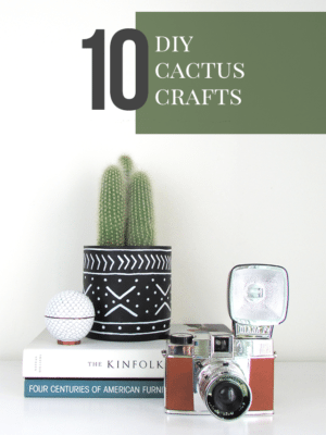 10 DIY Cactus Crafts thumbnail