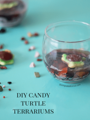 DIY Candy Turtle Terrariums – How To-sday thumbnail