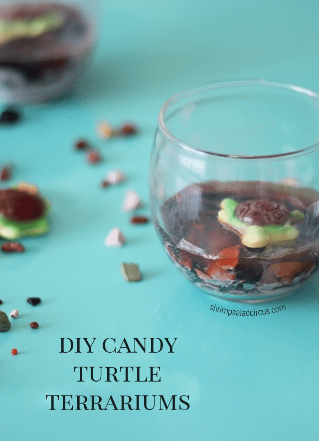 DIY Candy Turtle Terrariums