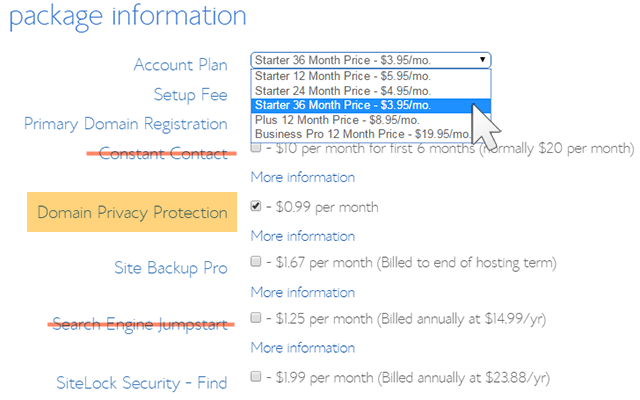 How to Start a DIY Blog - Selecting Hosting Plan Options