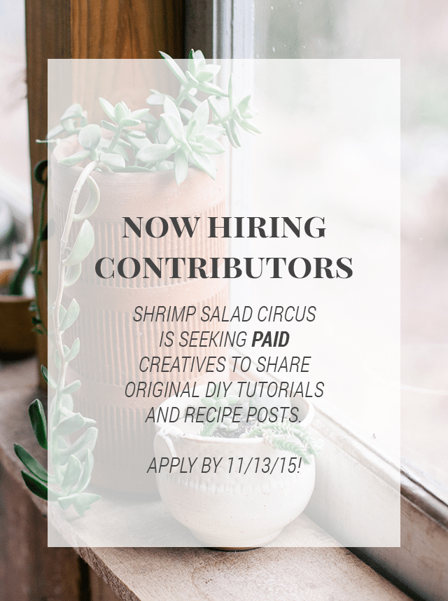 Shrimp Salad Circus is Hiring Contributors