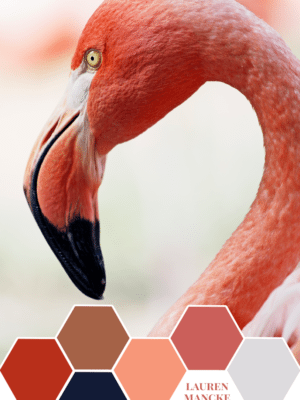 Lauren Mancke’s Pink Flamingo – Color Inspiration thumbnail