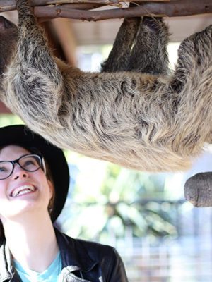 That Time I Got to Meet a Sloth – Lindsay Hugs all the Animals thumbnail