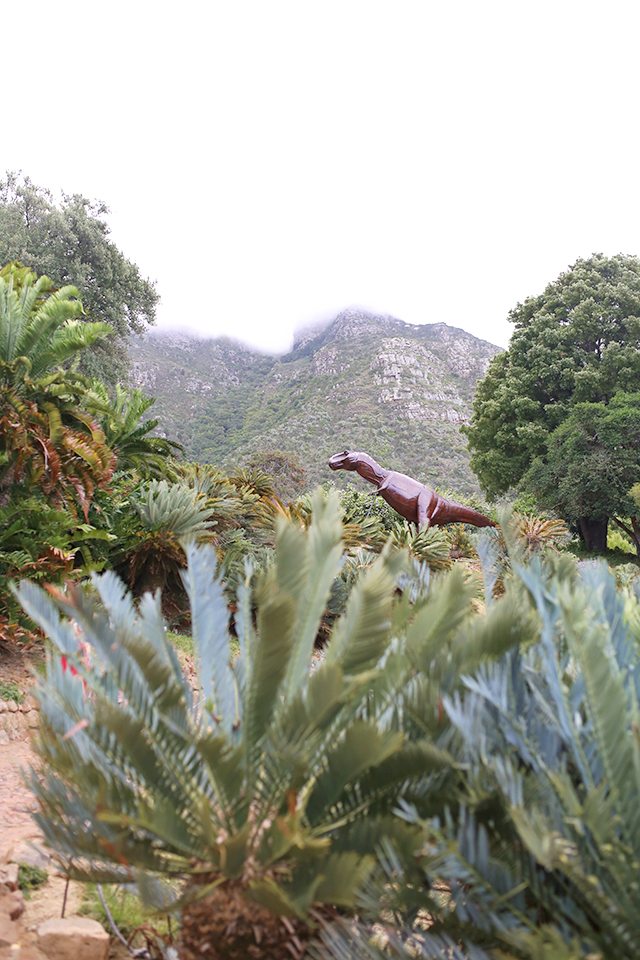 Cape Town Travel Guide - What to See - Kirstenbosch National Botanical Gardens