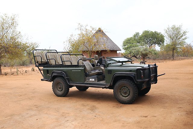 Safari at Kruger Travel Guide - What to Do - Africa on Foot Driving Safari Vehicle