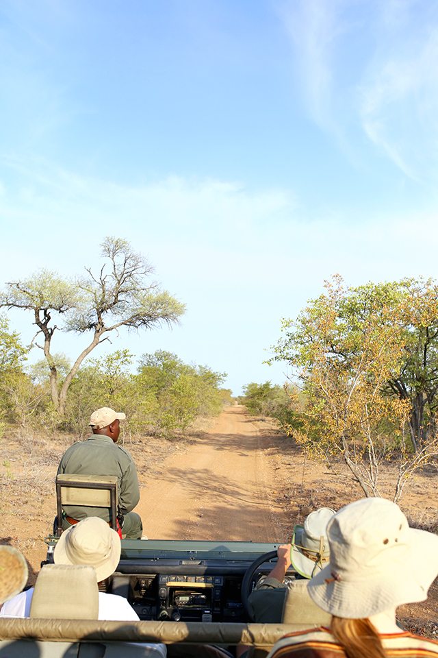 Safari at Kruger Travel Guide - Where to Stay - Africa on Foot Driving Safari