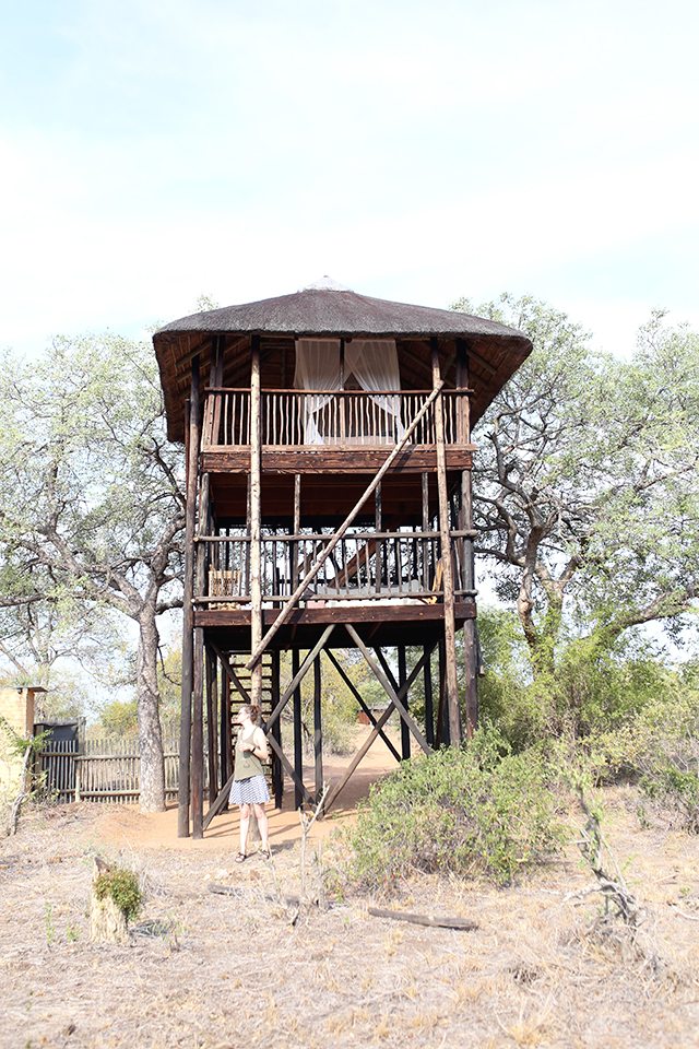 Safari at Kruger Travel Guide - Where to Stay - Africa on Foot Tree House