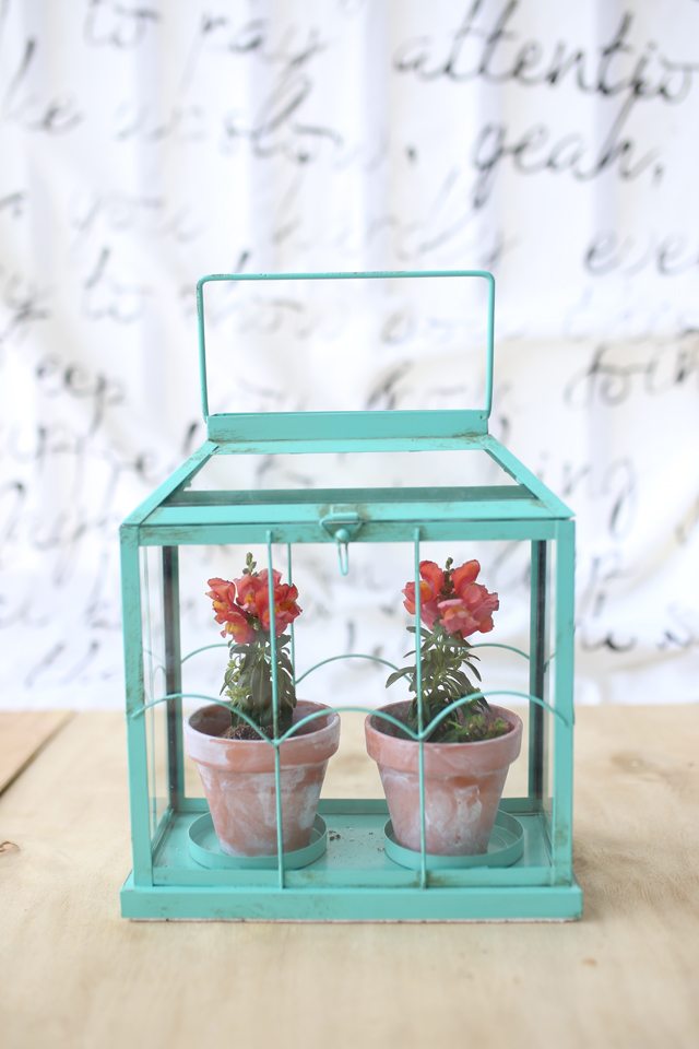 Easy DIY Flower Terrarium - Beautiful Little Miniature Greenhouse Made from a Candle Holder