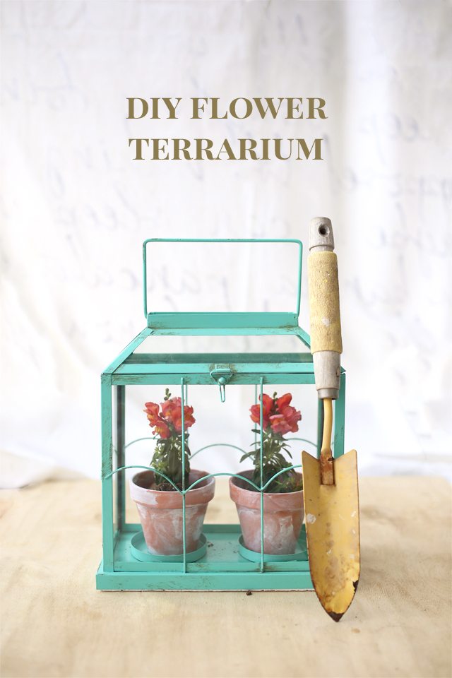 Easy DIY Flower Terrarium - Make a Miniature Greenhouse Made from a Candle Holder - DIY