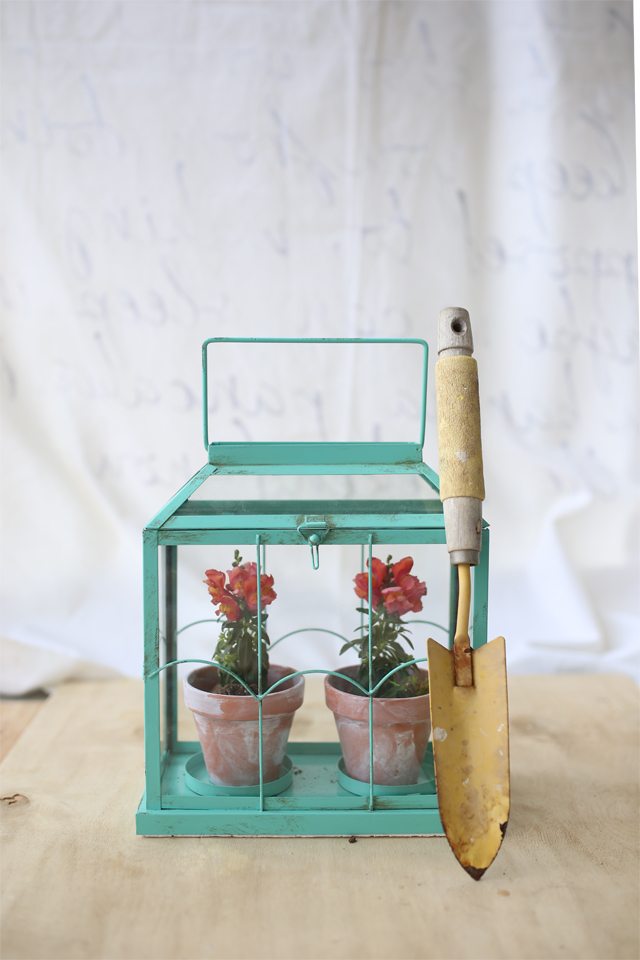 Easy DIY Flower Terrarium - Make a Miniature Greenhouse Made from a Candle Holder