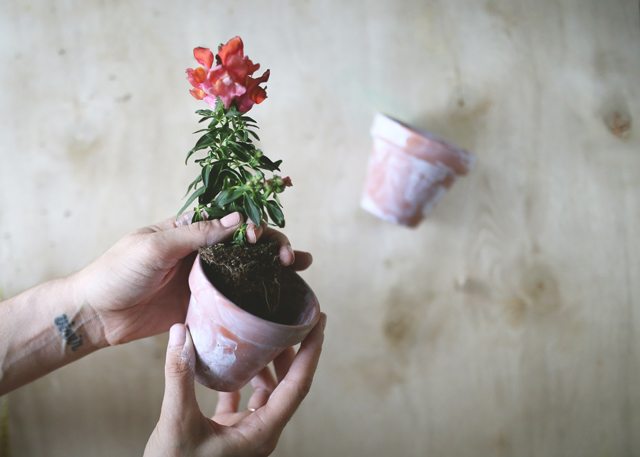 Easy DIY Flower Terrarium - Step 5 - Pot the Flowers