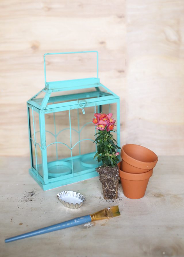 Easy DIY Flower Terrarium - Supplies