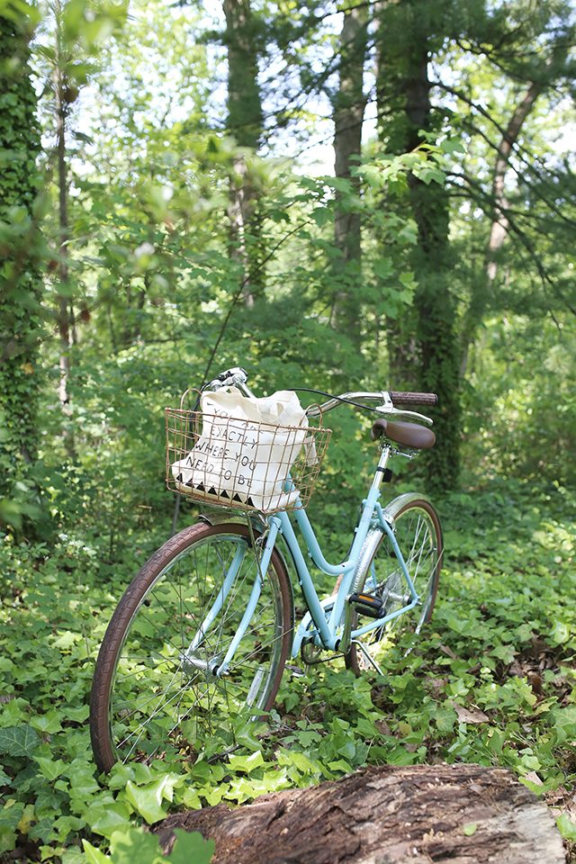 Tips for Choosing the Right Bike Basket - Copper Wire Basket