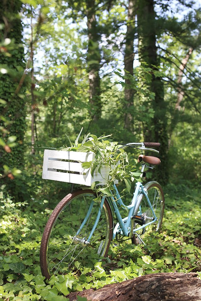 Tips for Choosing the Right Bike Basket - White Wooden Crate