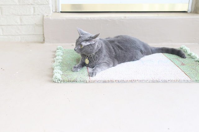 DIY Pom Pom Rug Doormat Tutorial - Cat Approved