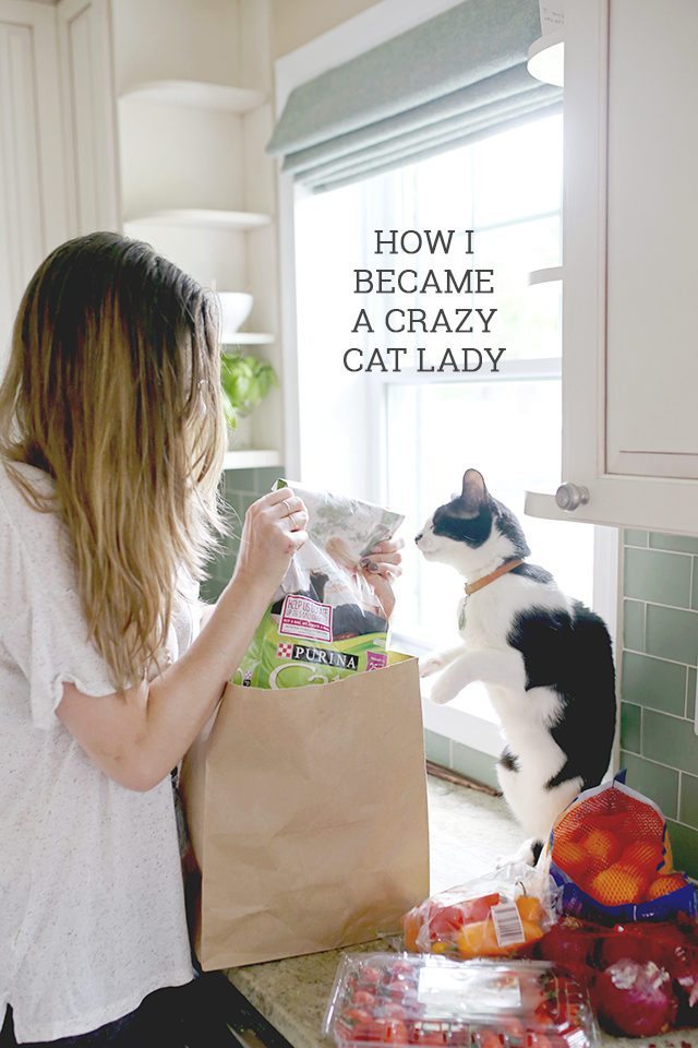 How I Became a Crazy Cat Lady