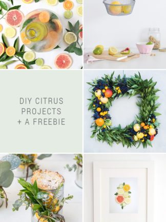 DIY Citrus Projects + Favorite Finds No. 89 thumbnail