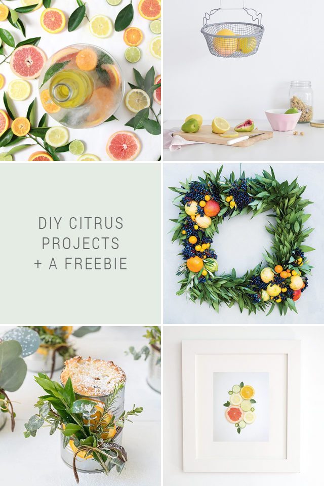 DIY Citrus Projects