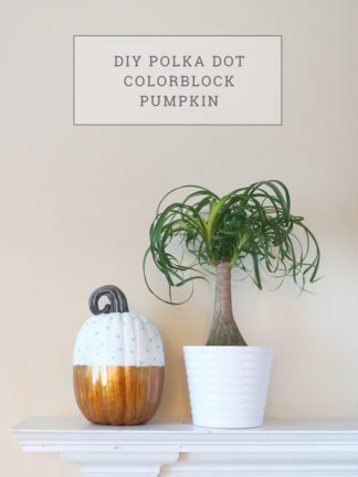 DIY Polka Dot Color Block Pumpkin thumbnail