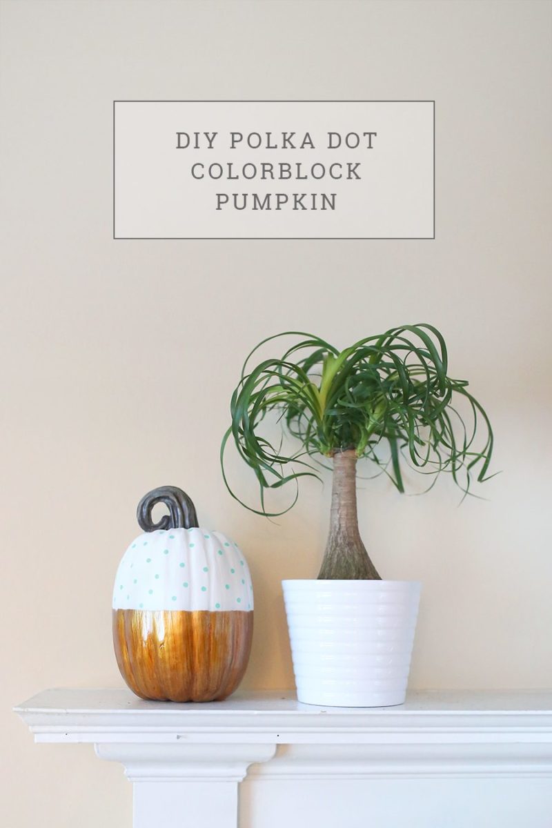 diy-polka-dot-colorblock-pumpkin-tutorial